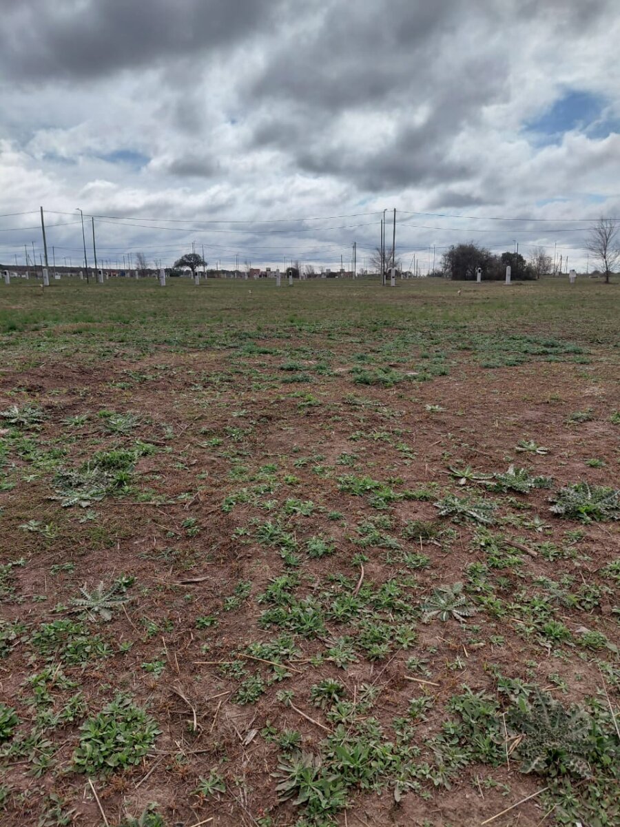 VENTA LOTE DOCTA CENTRAL - Imagen 8
