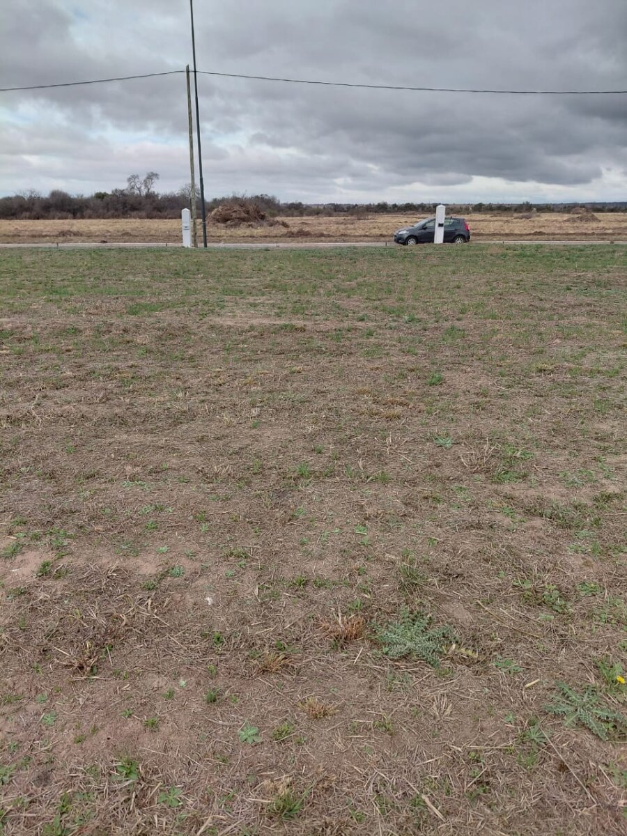 VENTA LOTE DOCTA CENTRAL - Imagen 7