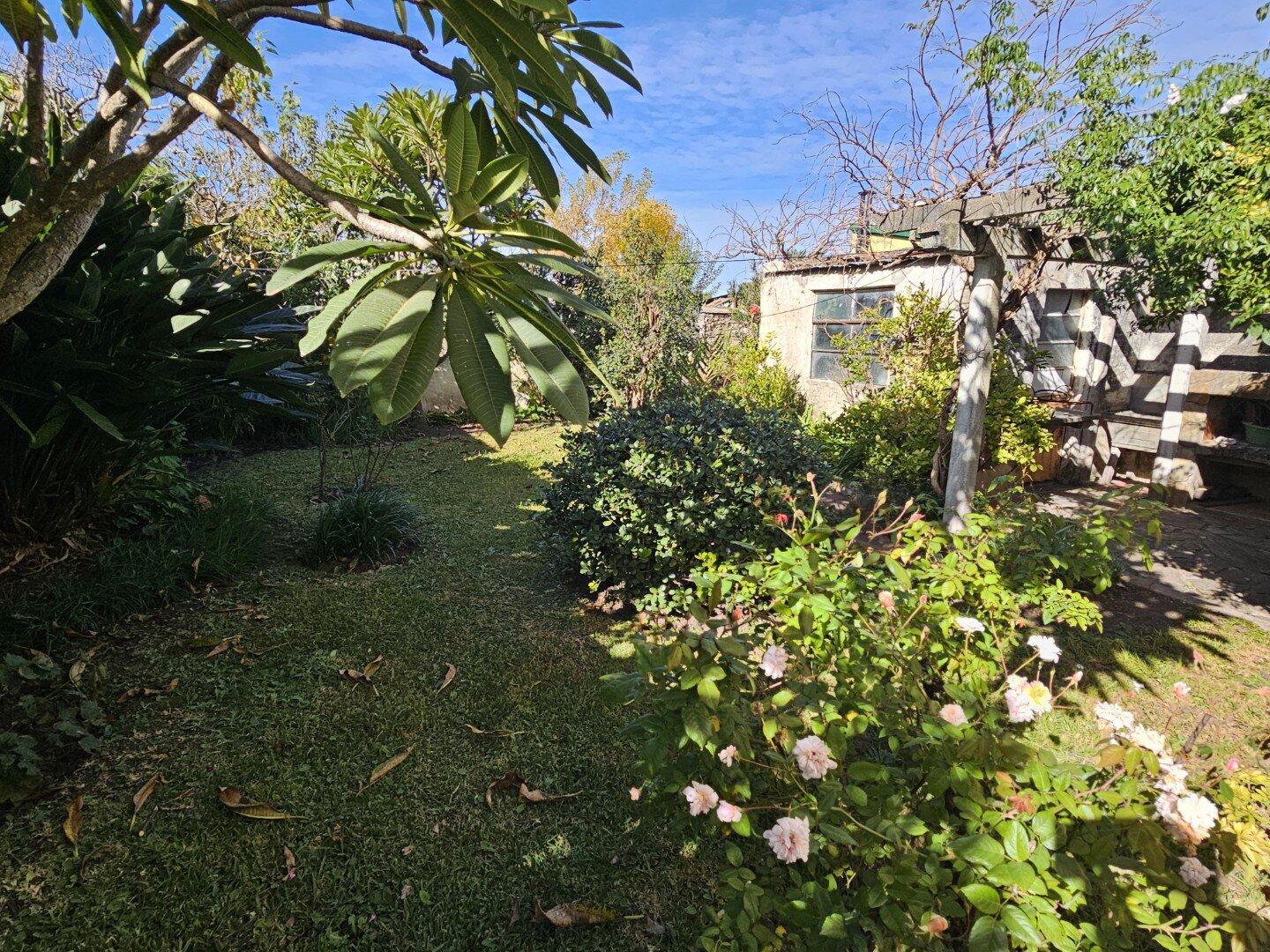 VENTA | Casa de 3 dormitorios con amplios espacios y excelente ubicación! Av. Centenario 275 – Victoria, Entre Ríos - 4