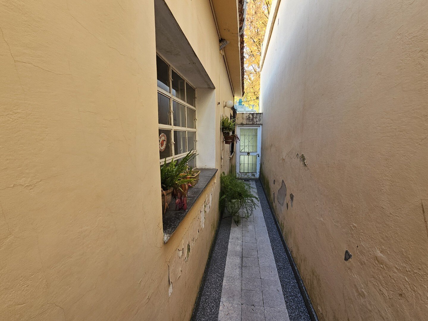 VENTA | Casa de 3 dormitorios con amplios espacios y excelente ubicación! Av. Centenario 275 – Victoria, Entre Ríos - 24