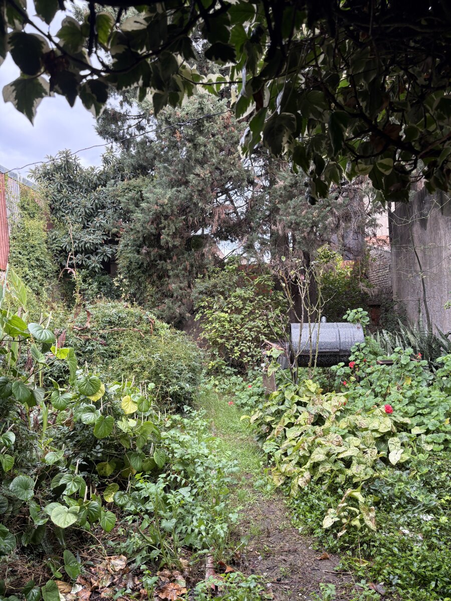 Casa a reciclar de 225 m2 - Bahía Blanca 479 - 3