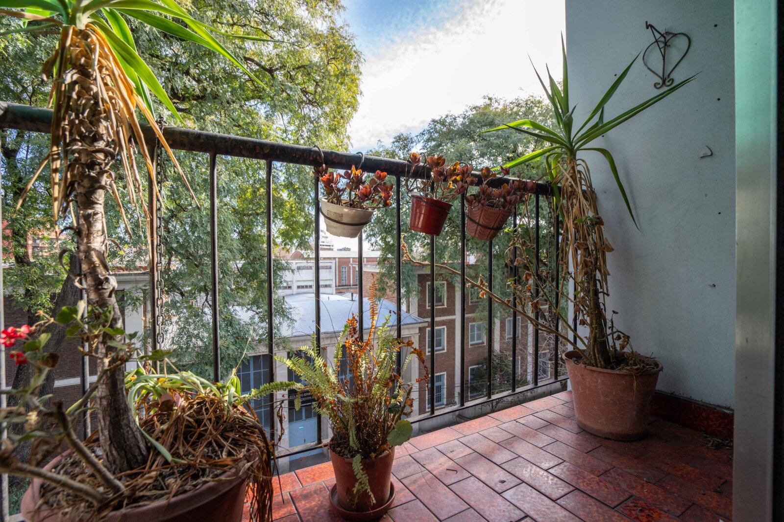 Departamento de 3 Ambientes con balcón en Villa Devoto - Orientación Norte — foto 6