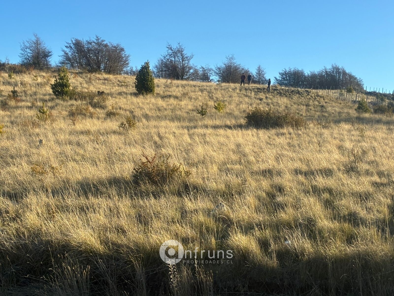 Parcela en Venta en Coyhaique | 15 Dormitorios | 15 Baños | 5000 m² | $45.000.000 - 2