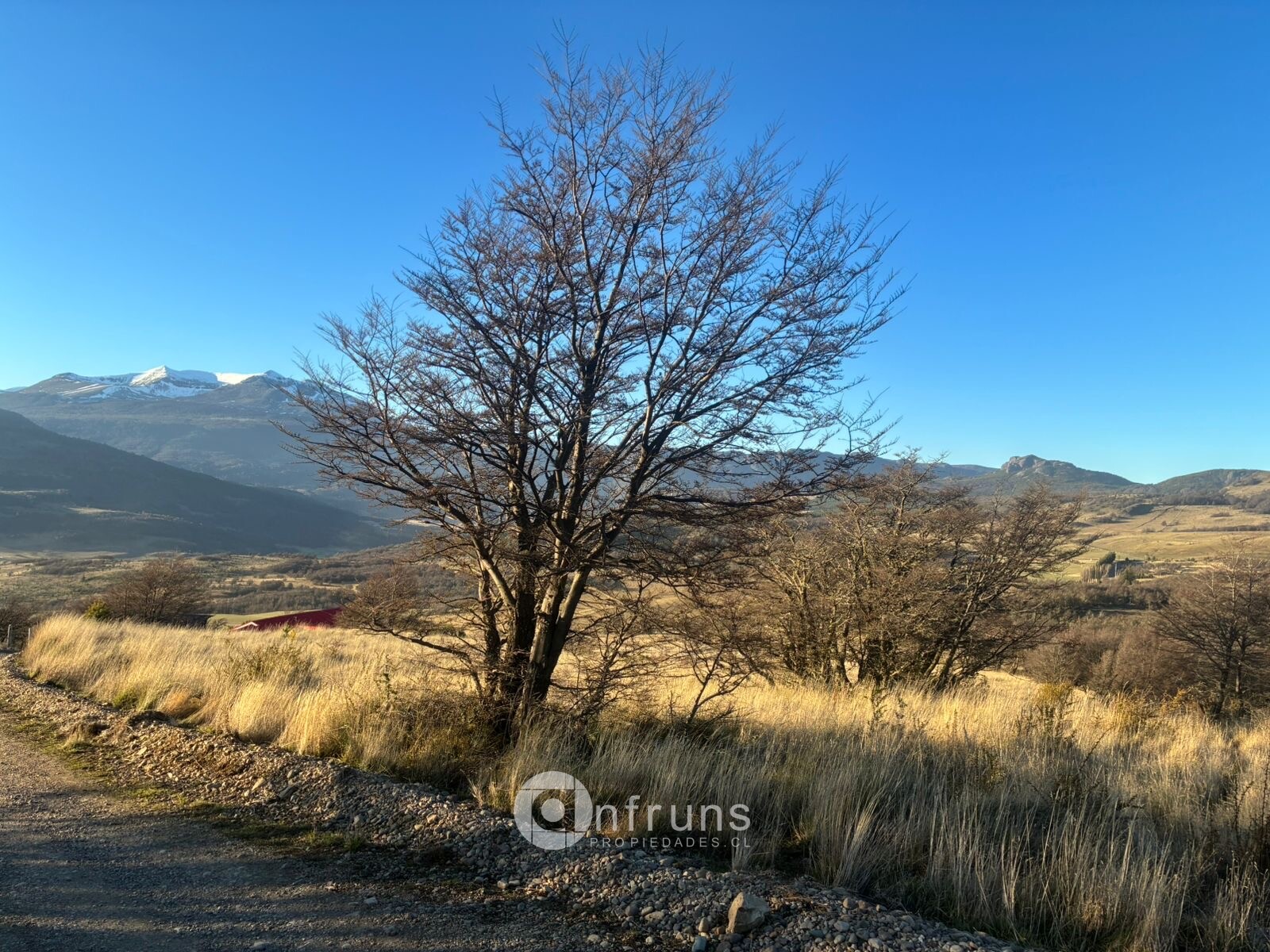 Parcela en Venta en Coyhaique | 15 Dormitorios | 15 Baños | 5000 m² | $45.000.000 - 3