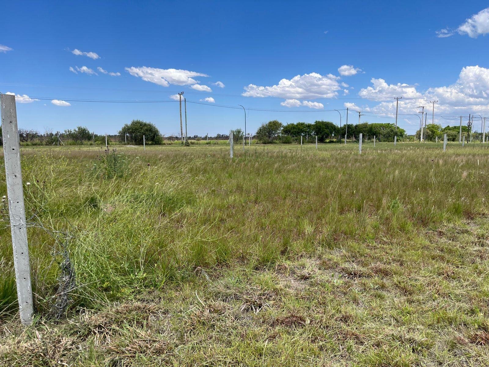 Lote en Venta Villa Juana - Imagen 3