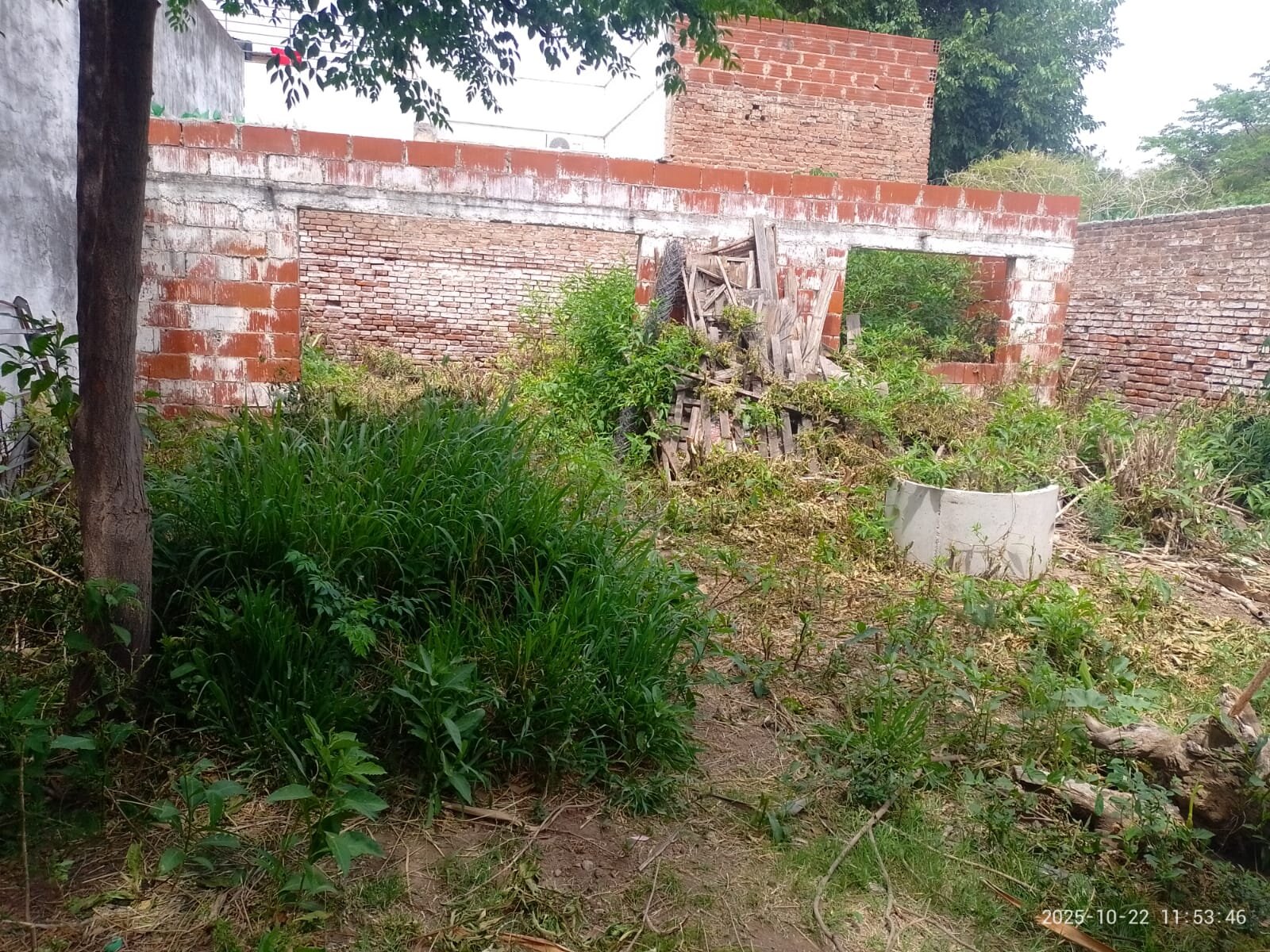 VENDO    Lote apto desarrollo Guemes - Imagen 4