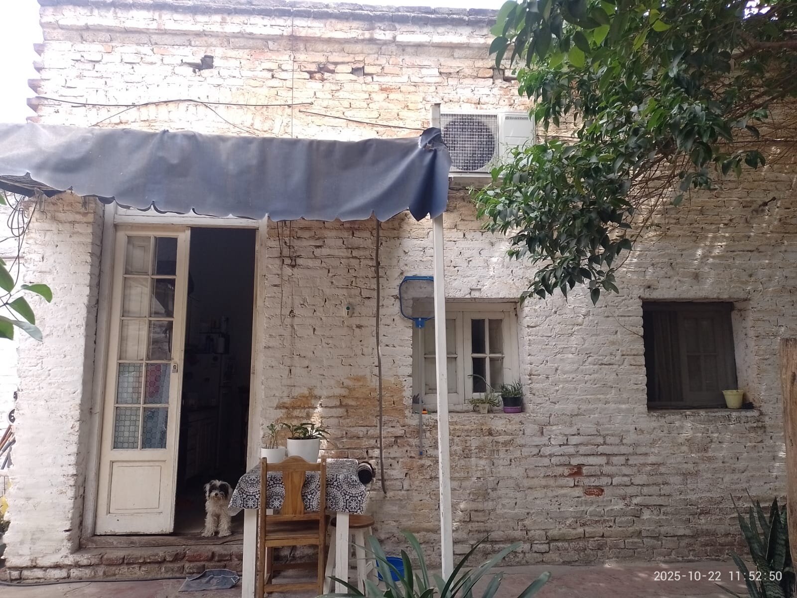 VENDO    Lote apto desarrollo Guemes - Imagen 6