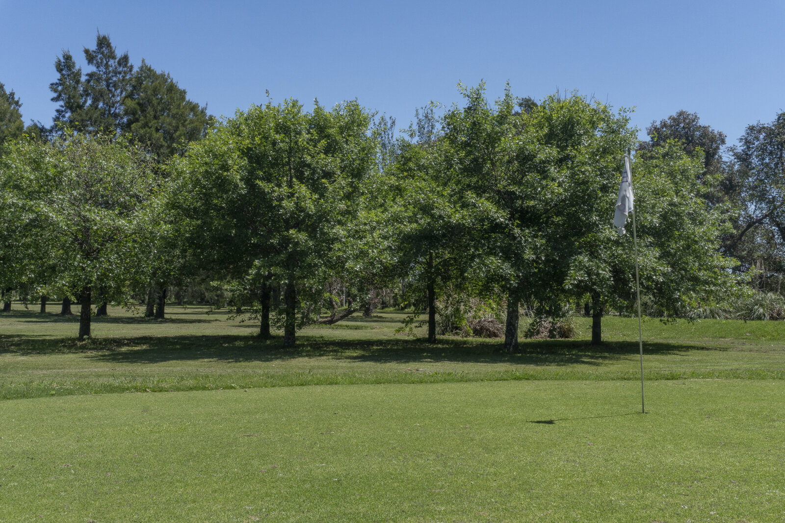 VENTA LOTE PUERTO ROLDÁN - 7