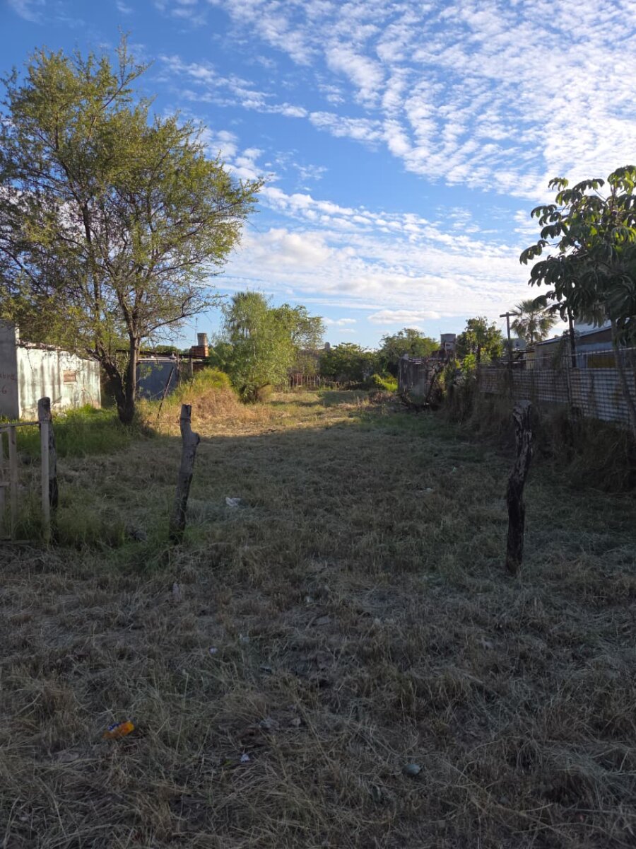 Terreno - 2