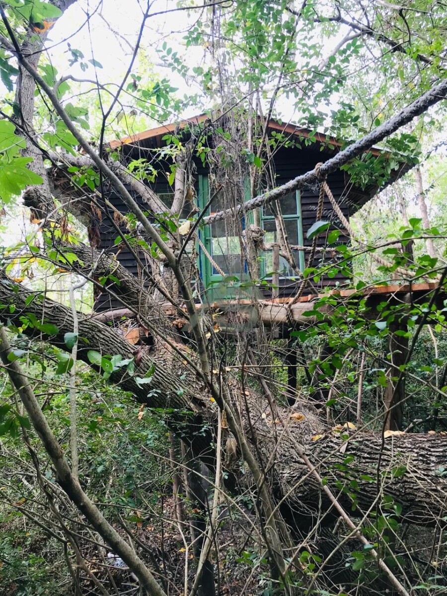 EXCLUSIVA ISLA EN VENTA – 40 HECTÁREAS EN EL DELTA DE SAN FERNANDO - 9