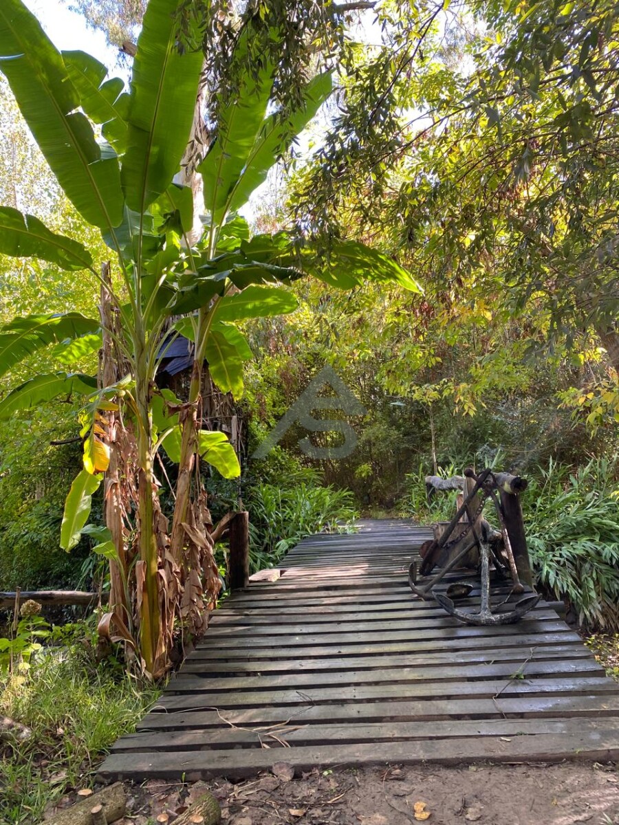 EXCLUSIVA ISLA EN VENTA – 40 HECTÁREAS EN EL DELTA DE SAN FERNANDO - 14