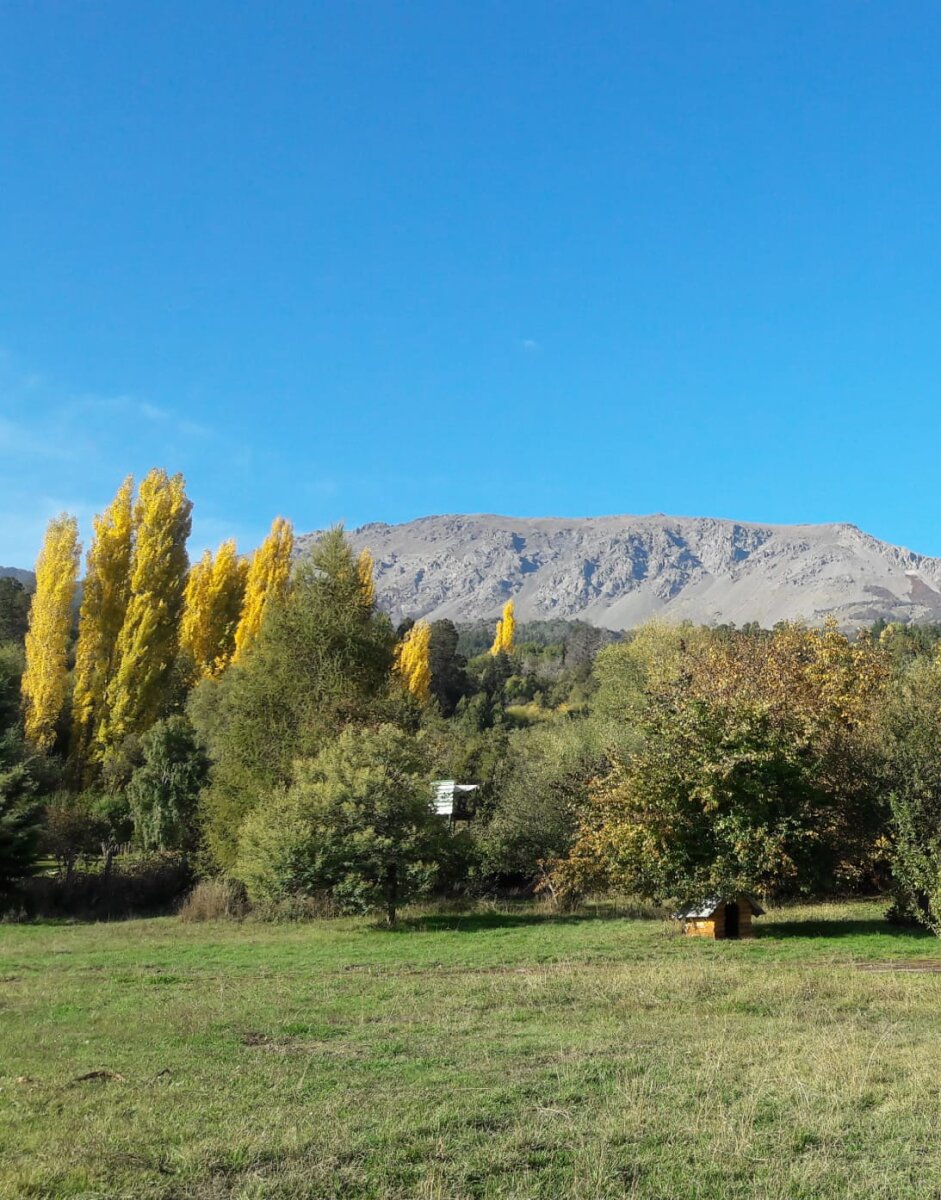 (089) El Bolsón Terreno de 900 mt² barrio Villa Turismo - 2