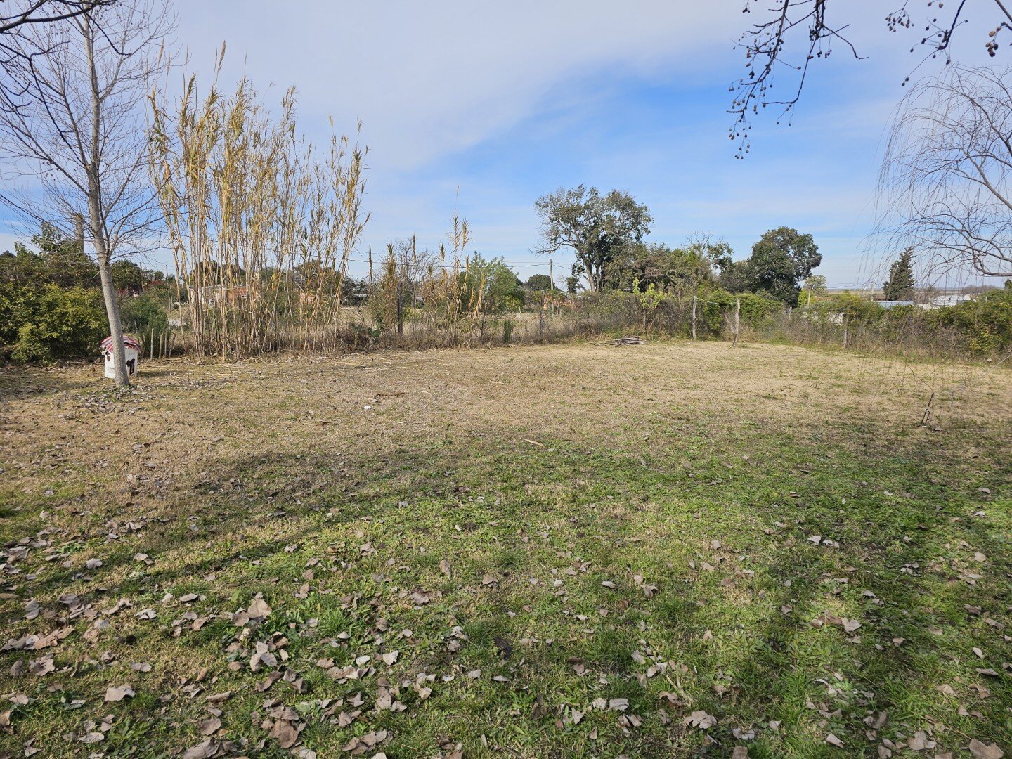 VENTA | Cabaña de madera sobre amplio terreno de 736m2! Quinto Cuartel- Victoria, Entre Ríos - 4