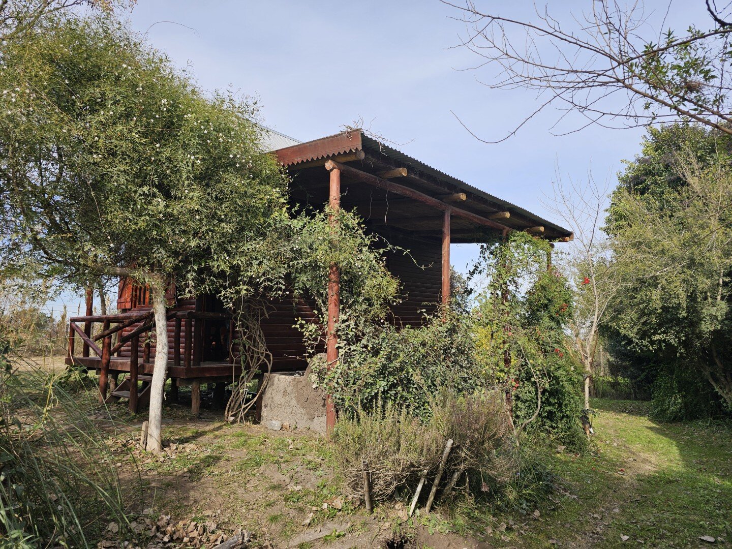 VENTA | Cabaña de madera sobre amplio terreno de 736m2! Quinto Cuartel- Victoria, Entre Ríos - 29