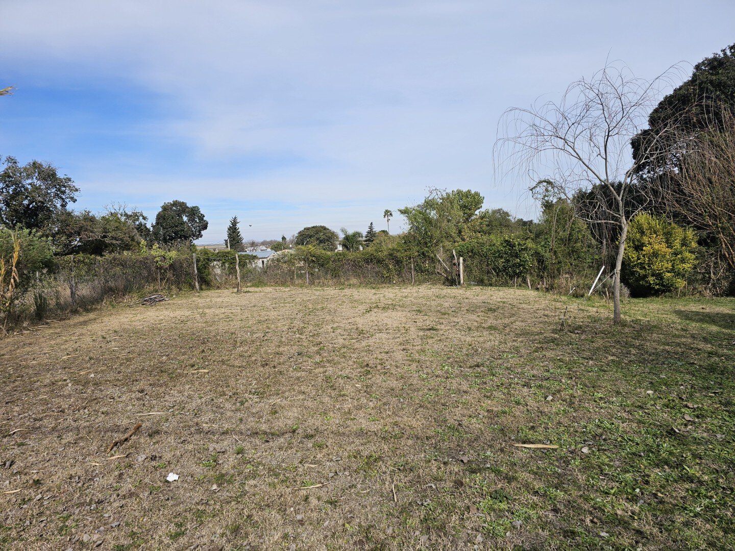 VENTA | Cabaña de madera sobre amplio terreno de 736m2! Quinto Cuartel- Victoria, Entre Ríos - 5