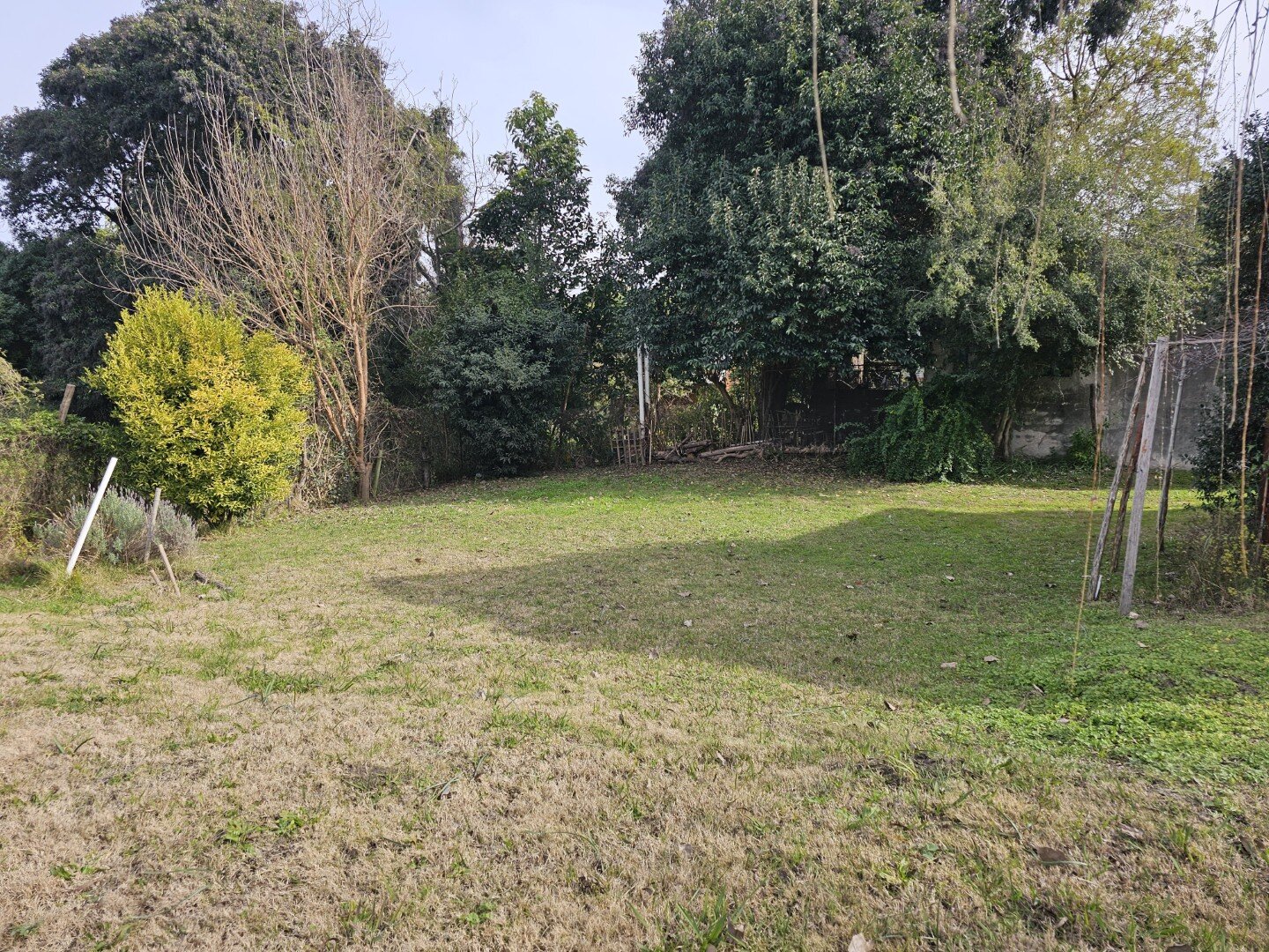 VENTA | Cabaña de madera sobre amplio terreno de 736m2! Quinto Cuartel- Victoria, Entre Ríos - 8