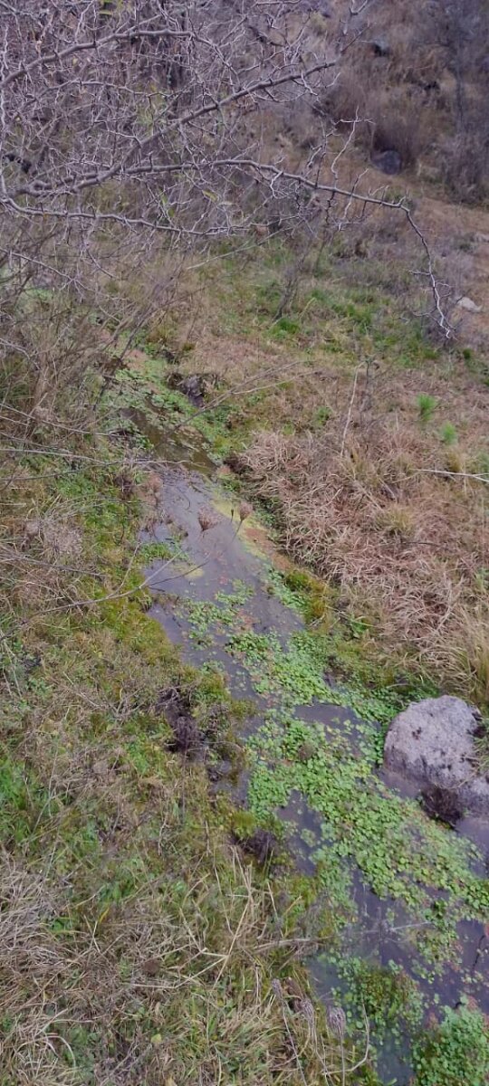 162 Ha Ganaderas en Venta - Imagen 9