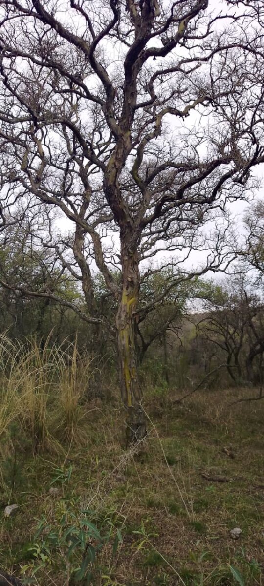 162 Ha Ganaderas en Venta - Imagen 20