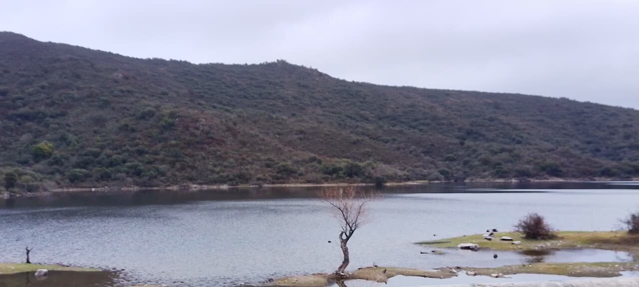 162 Ha Ganaderas en Venta