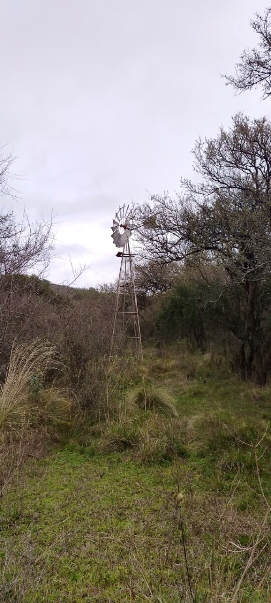 162 Ha Ganaderas en Venta - Imagen 25