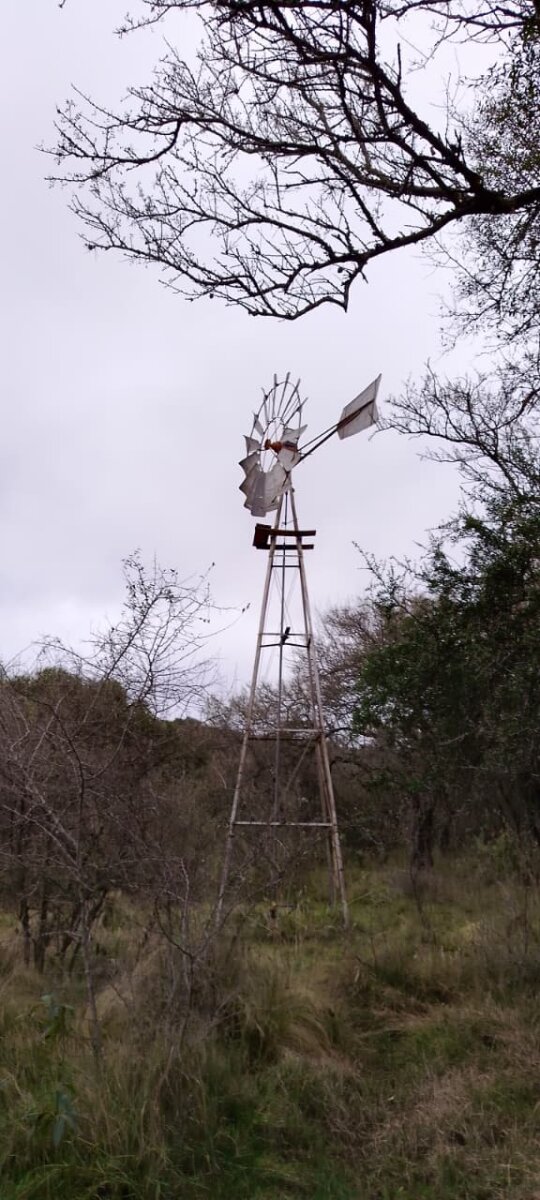 162 Ha Ganaderas en Venta - Imagen 26