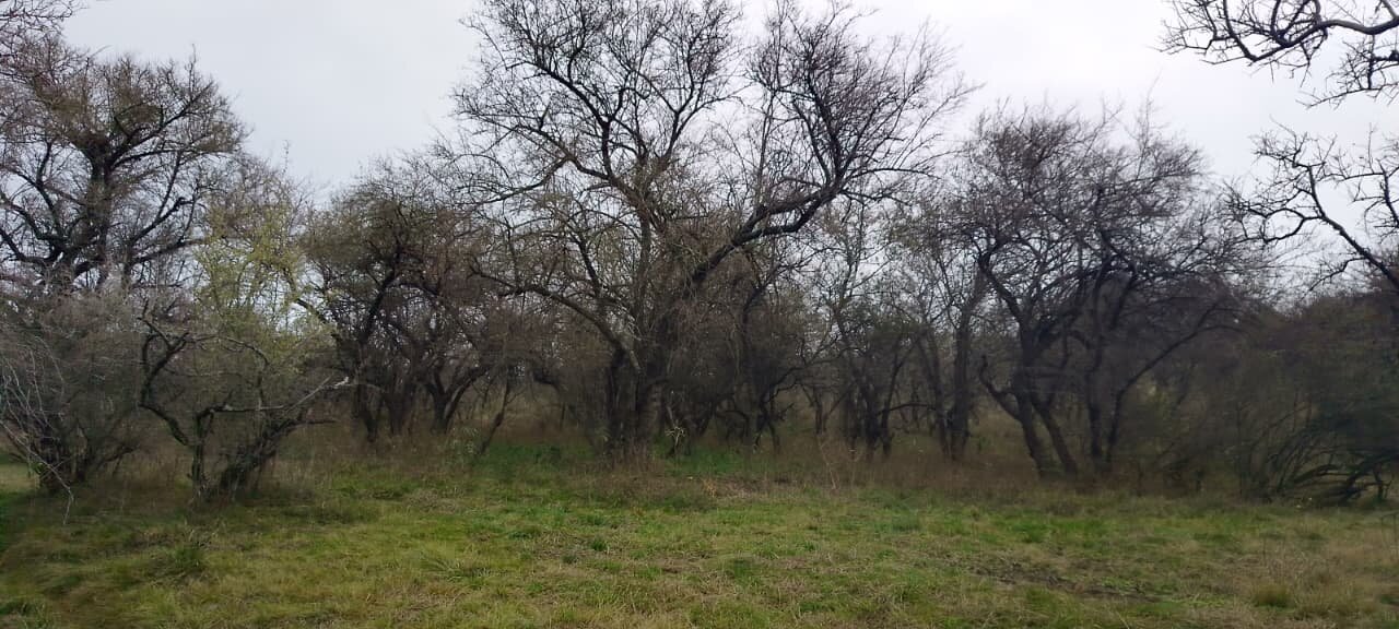 162 Ha Ganaderas en Venta - Imagen 18