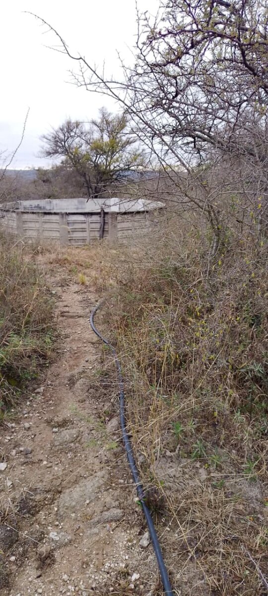 162 Ha Ganaderas en Venta - Imagen 27