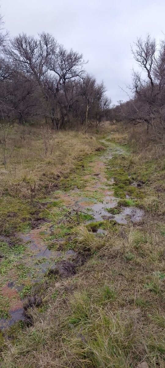 162 Ha Ganaderas en Venta - Imagen 12