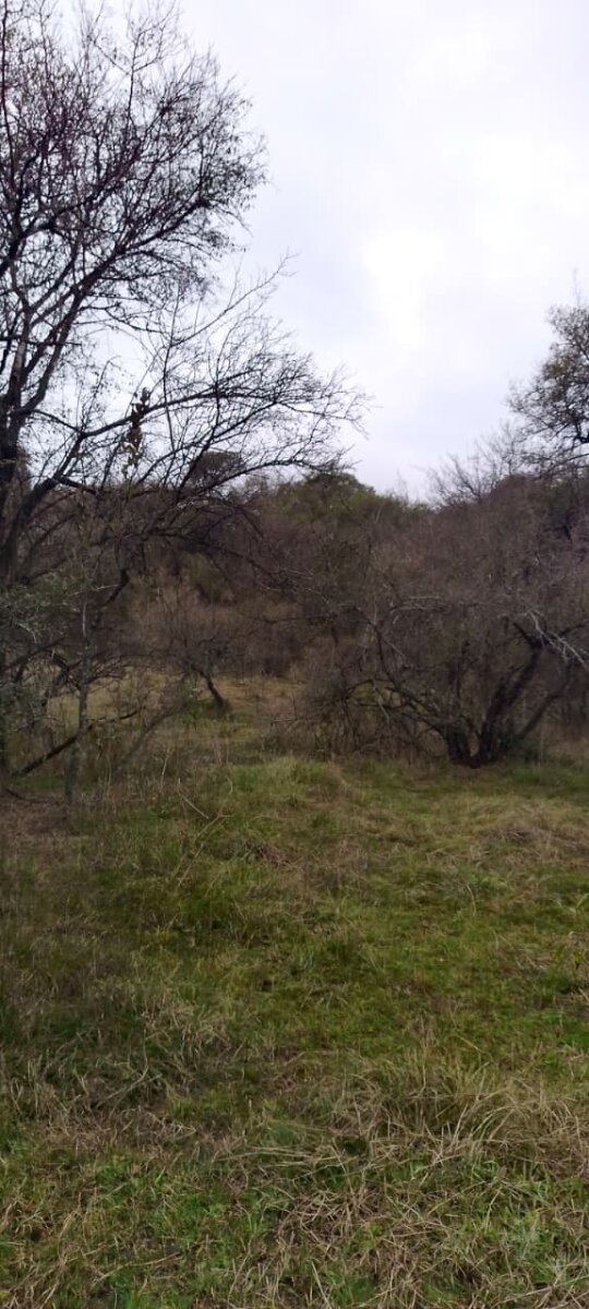 162 Ha Ganaderas en Venta - Imagen 14