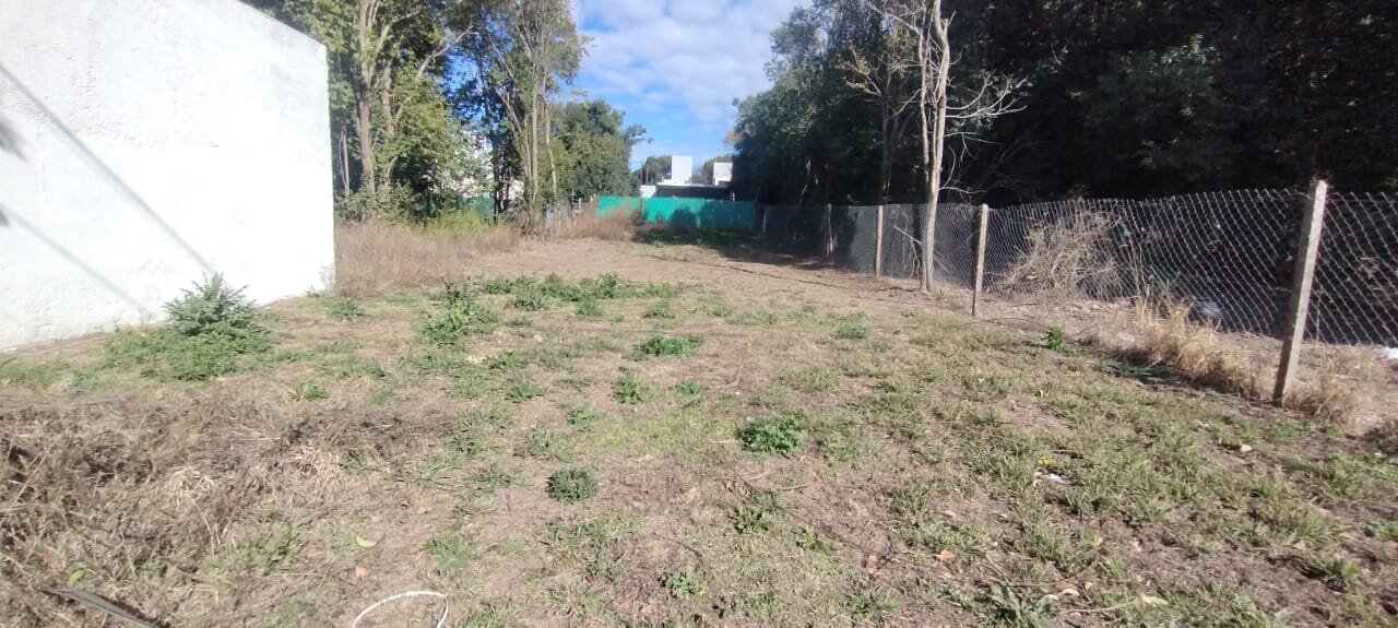 LOTE EN VENTA CAMPOS VERDES VILLA CATALINA - Imagen 3