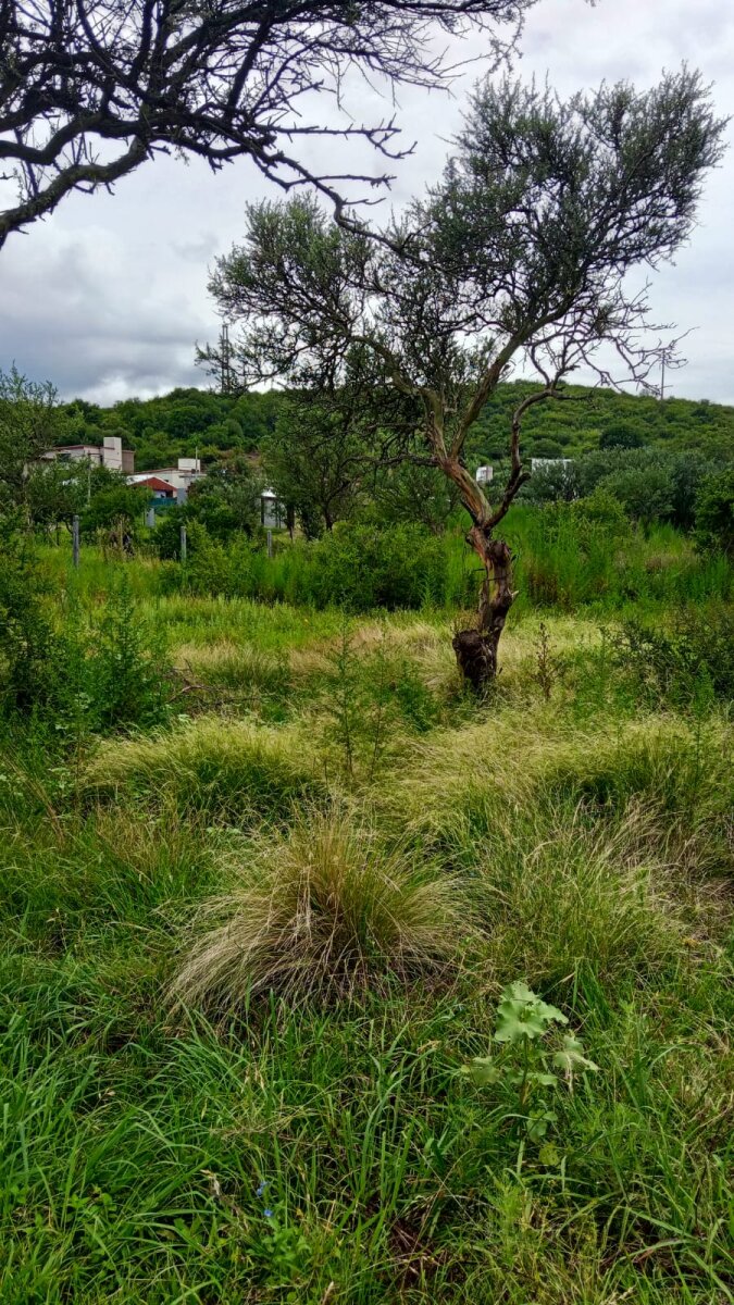VILLA DEL DIQUE CALMUCHITA lotes con escritura y financiacion a metros del lago - 4