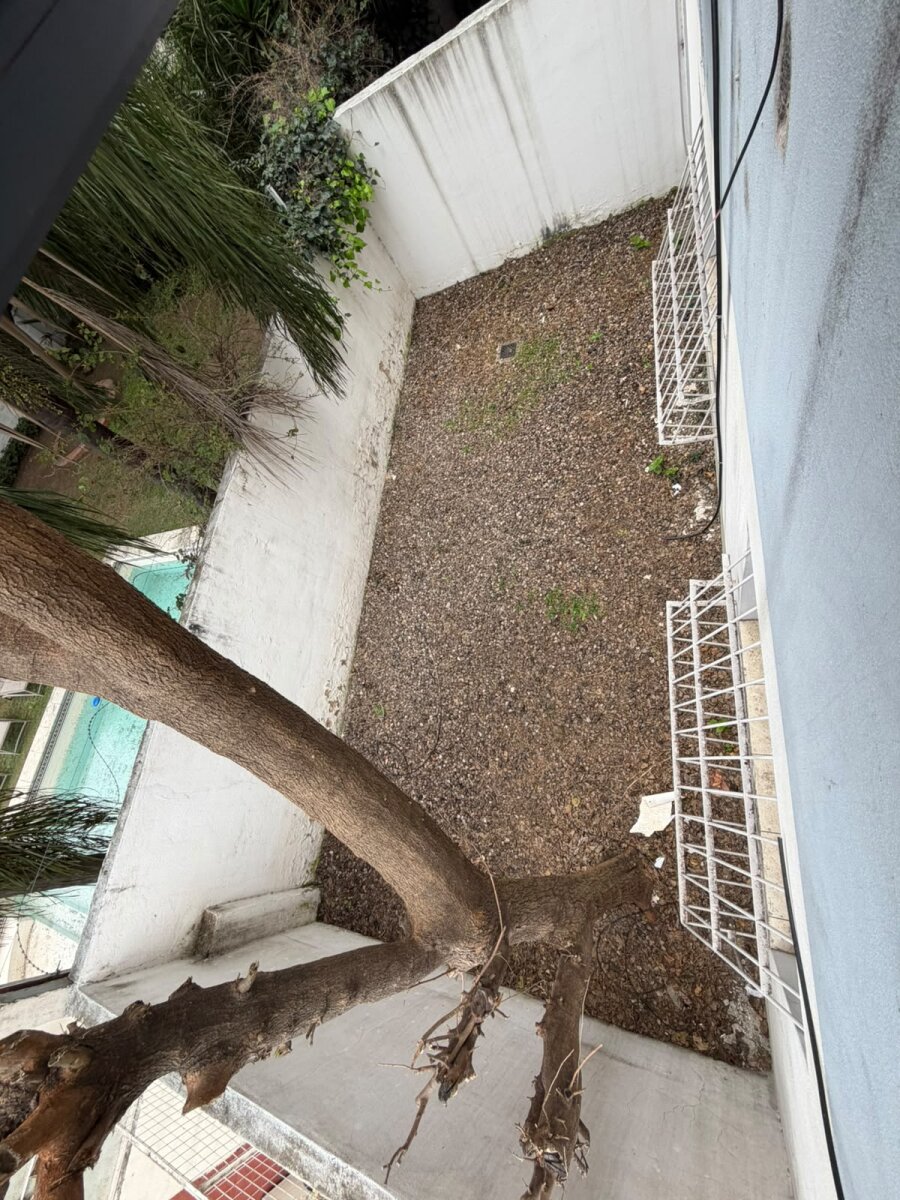 OFICINA CERRO - PATIO- CHOCHERA - Imagen 8