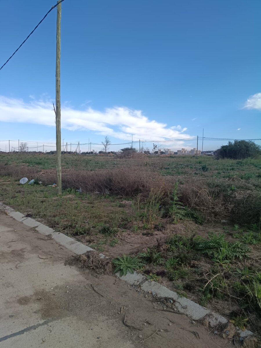 LOTE DOCTA ETAPA 2 - Imagen 3