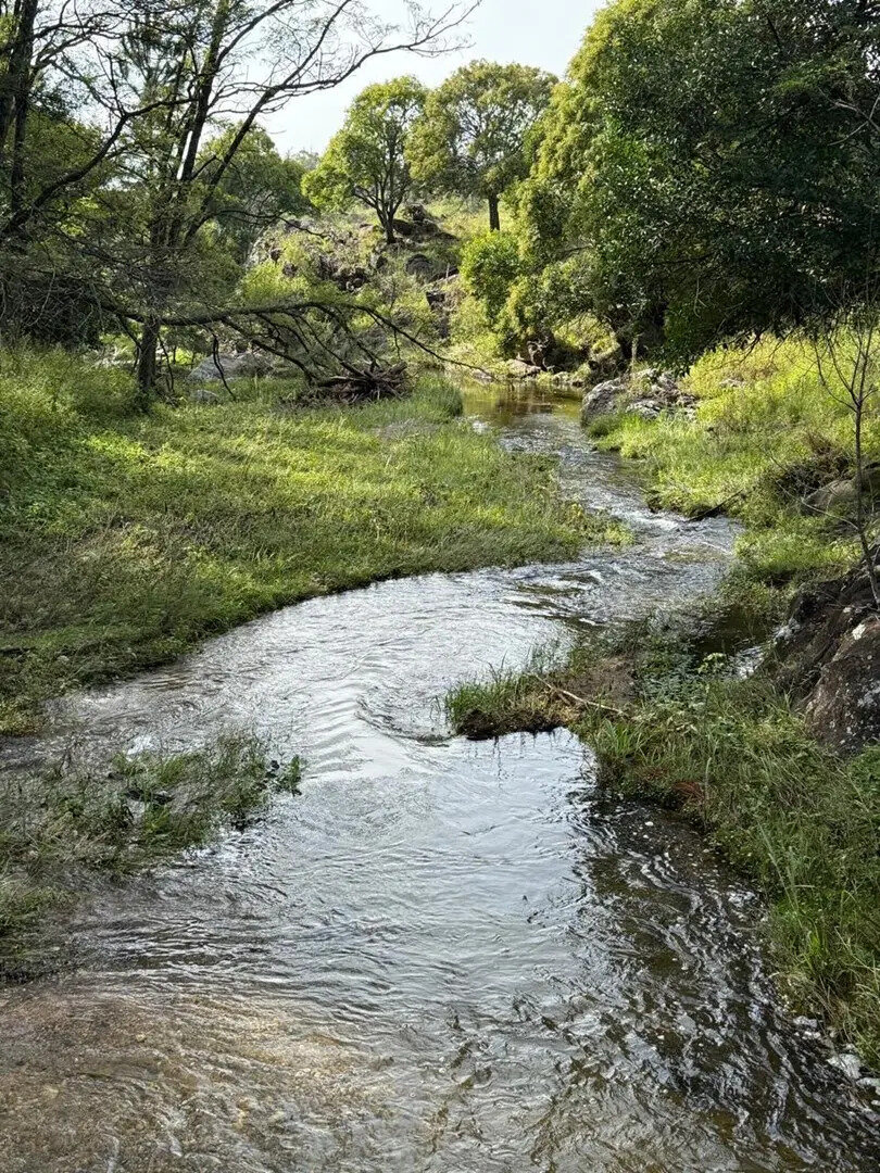 Terreno Lote  En Venta En Potrero De Garay, Calamuchita, Córdoba - Imagen 19