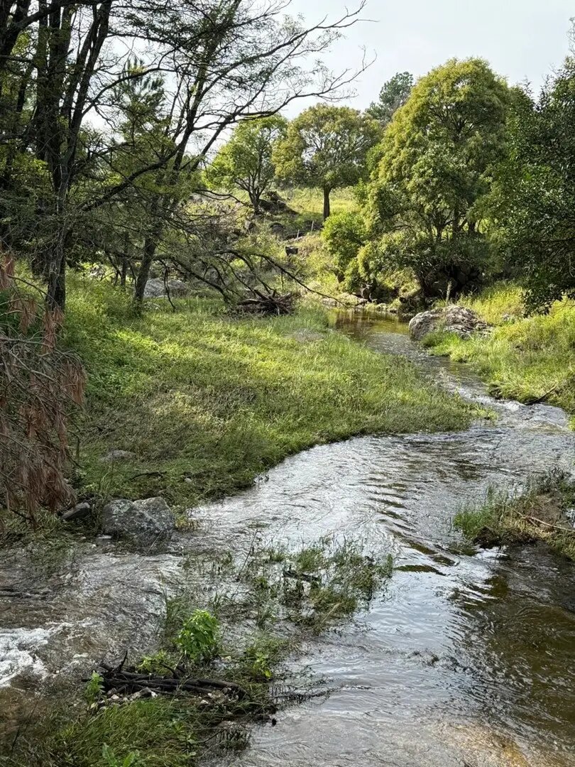 Terreno Lote  En Venta En Potrero De Garay, Calamuchita, Córdoba - Imagen 21