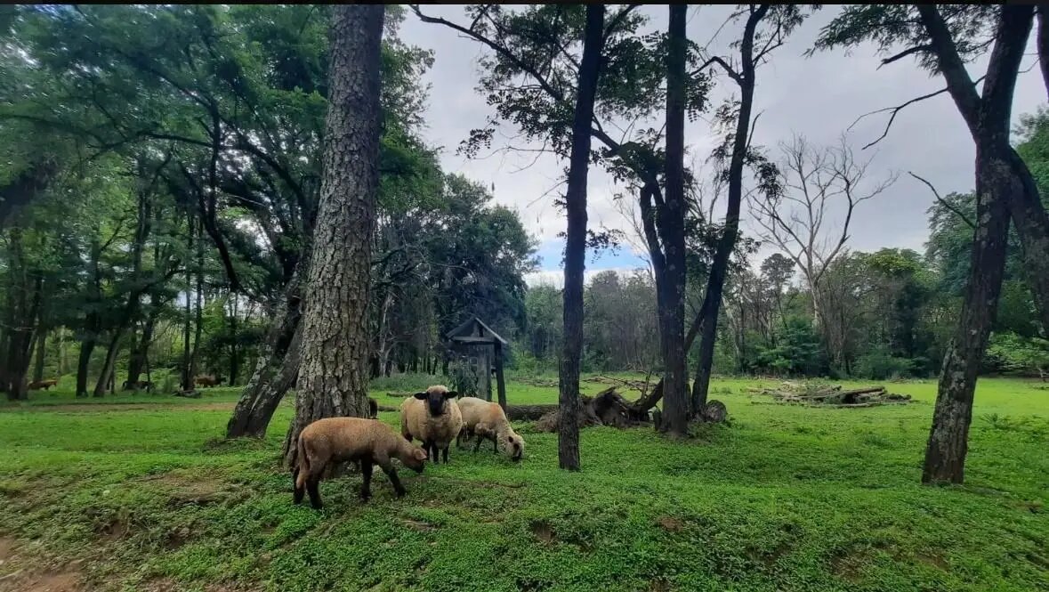 Terreno Lote  En Venta En Potrero De Garay, Calamuchita, Córdoba - Imagen 3