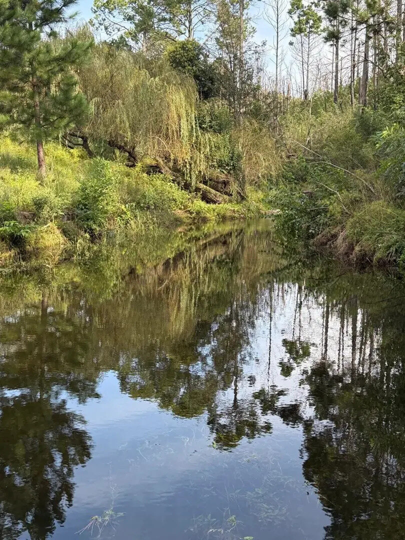 Terreno Lote  En Venta En Potrero De Garay, Calamuchita, Córdoba - Imagen 20