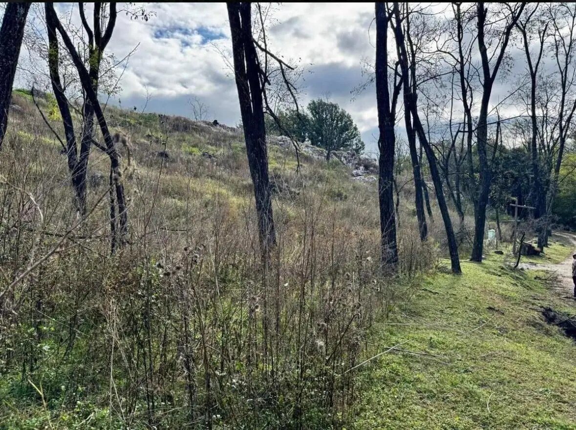 Terreno Lote  En Venta En Potrero De Garay, Calamuchita, Córdoba - Imagen 11