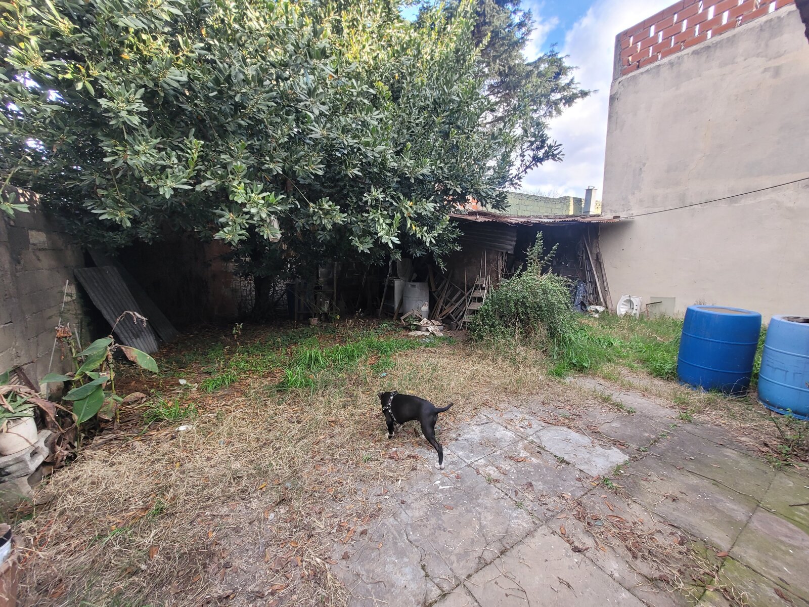 Casa a reciclar en B° Ludueña - Imagen 15