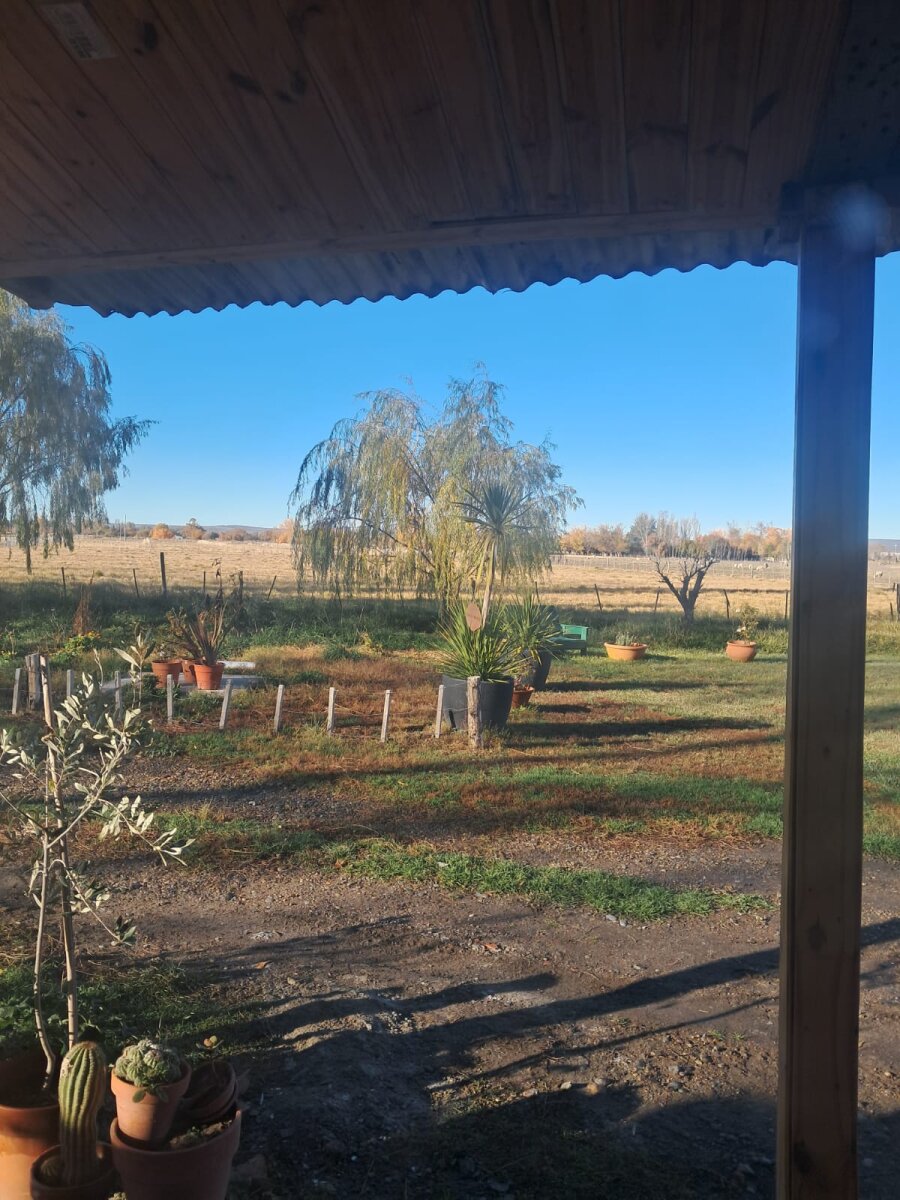 Chacra de 5 Has sobre Ruta 7 - Zona Bethesda (Gaiman/Dolavon) - Con Gas y Riego - Acepta Permuta en Trelew - 5