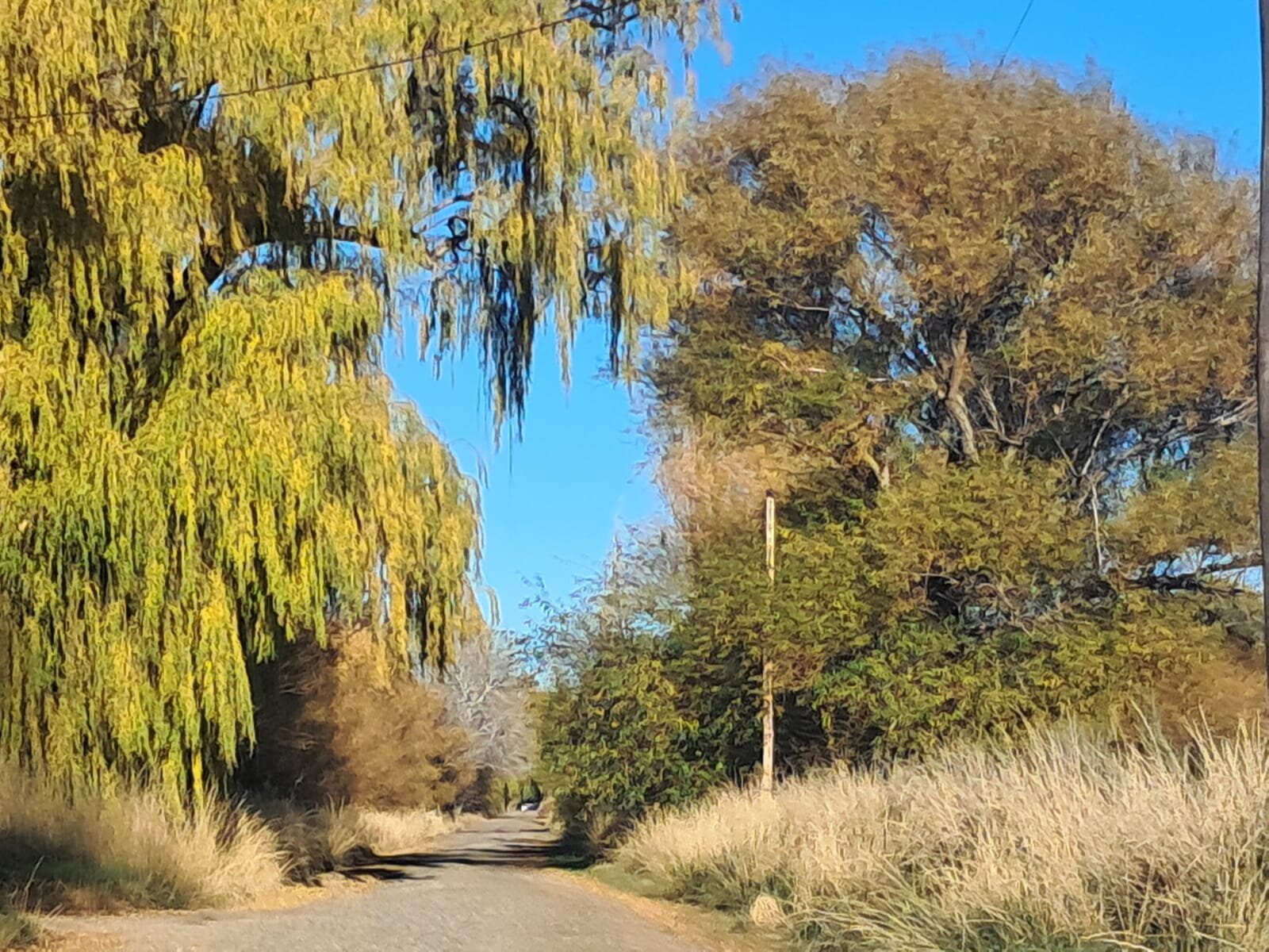 Chacra de 5 Has sobre Ruta 7 - Zona Bethesda (Gaiman/Dolavon) - Con Gas y Riego - Acepta Permuta en Trelew - 21