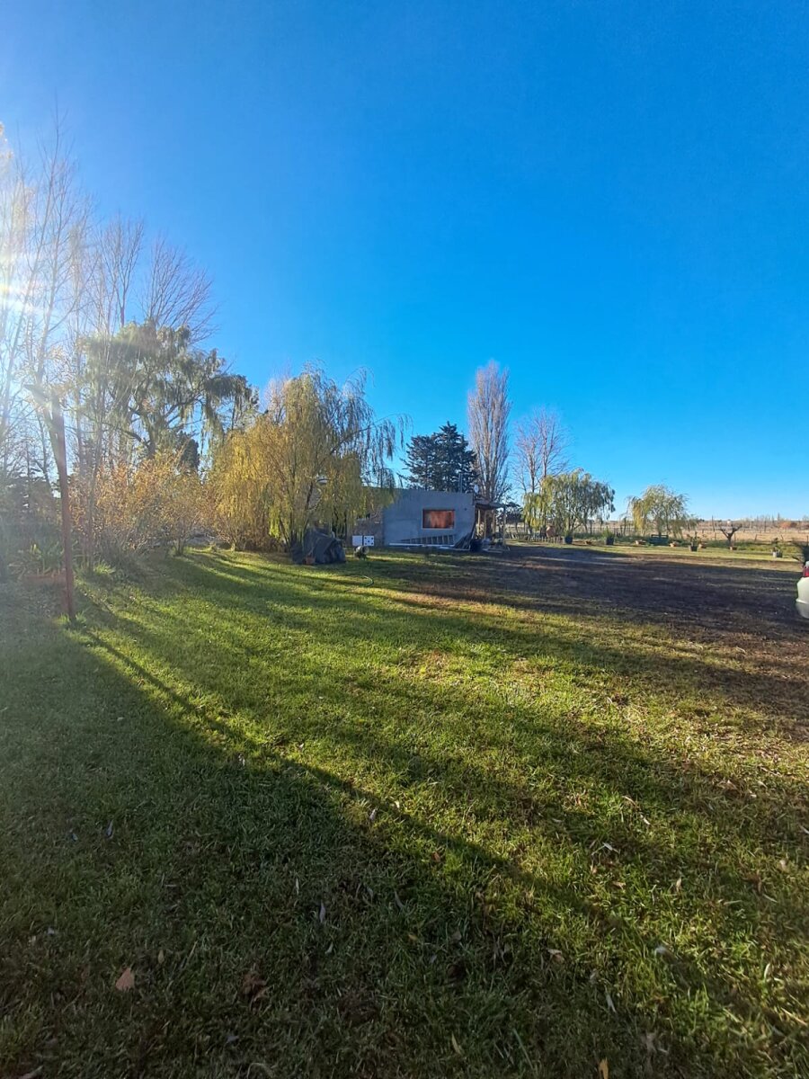 Chacra de 5 Has sobre Ruta 7 - Zona Bethesda (Gaiman/Dolavon) - Con Gas y Riego - Acepta Permuta en Trelew - 10