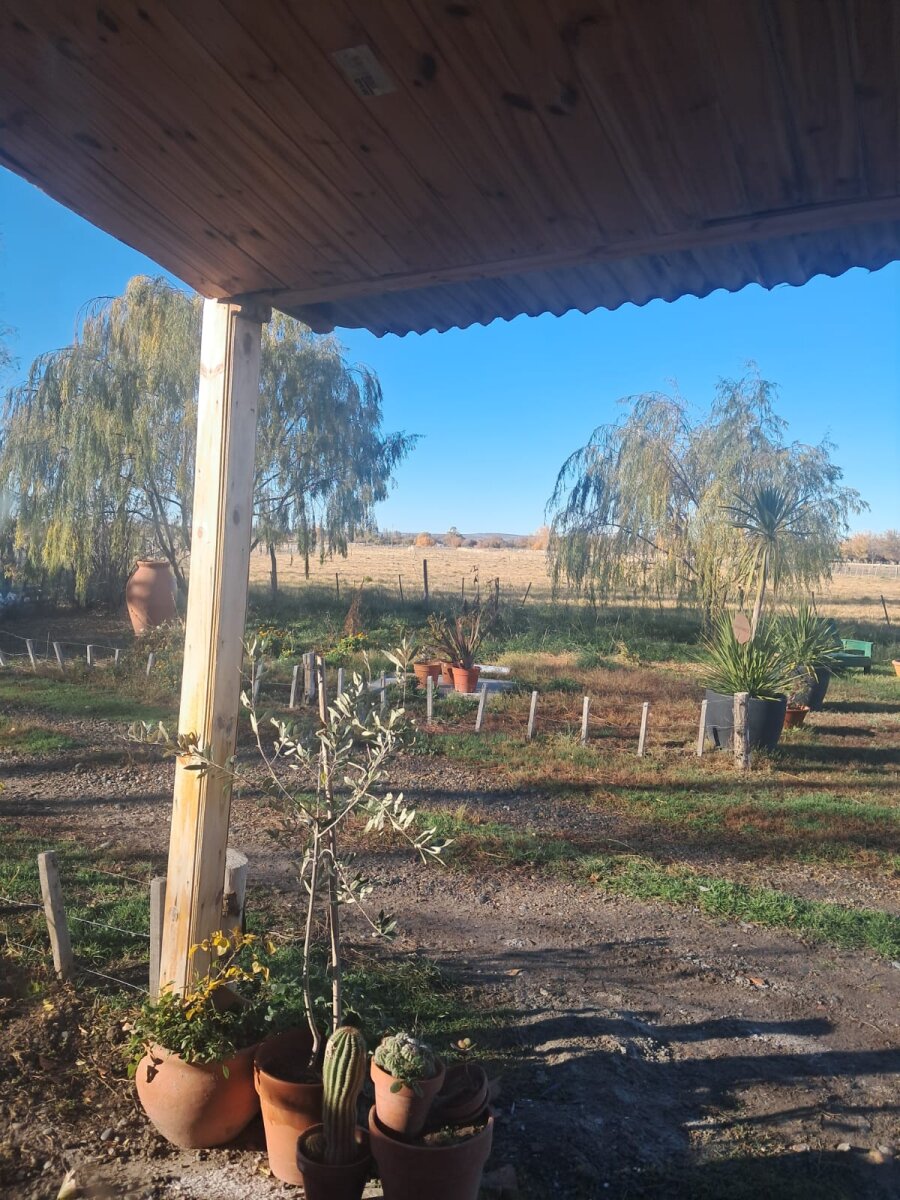 Chacra de 5 Has sobre Ruta 7 - Zona Bethesda (Gaiman/Dolavon) - Con Gas y Riego - Acepta Permuta en Trelew - 14