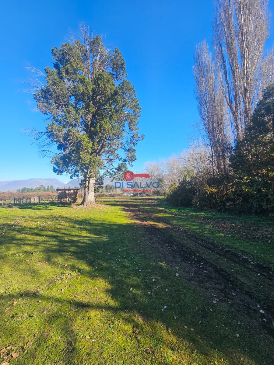 Chacra de 12 hectáreas en Las Golondrinas Lago Puelo - 18
