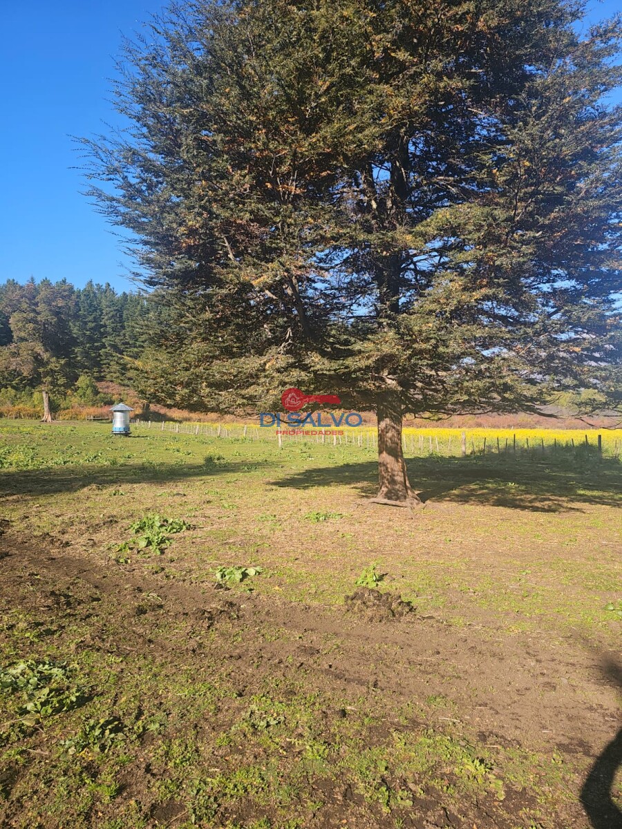 Chacra de 12 hectáreas en Las Golondrinas Lago Puelo - 15