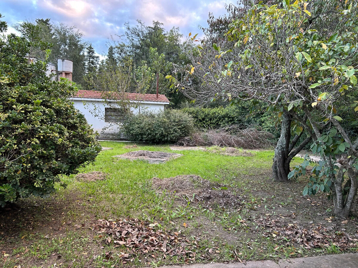 Casa Con 800m2 De Terreno - 3