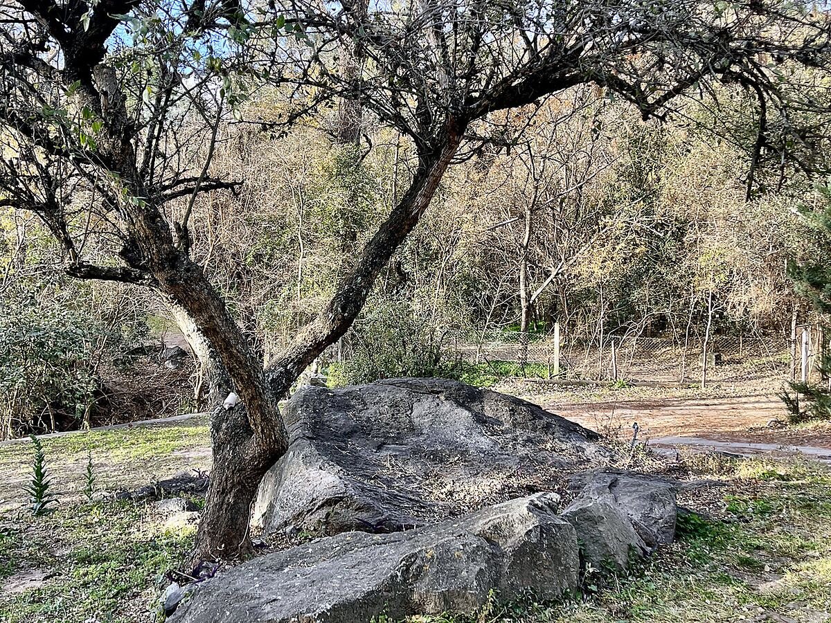 Casa 4 dormitorios con pileta y bajada al río Anisacate en La Serranita — foto 5