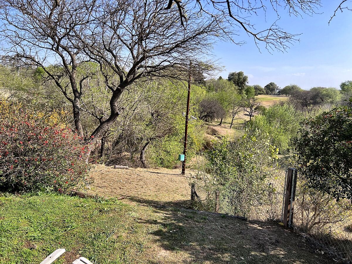 Casa en venta 6 dorm con pileta en Country Las Delicias, parque de 1.800 m² — foto 6