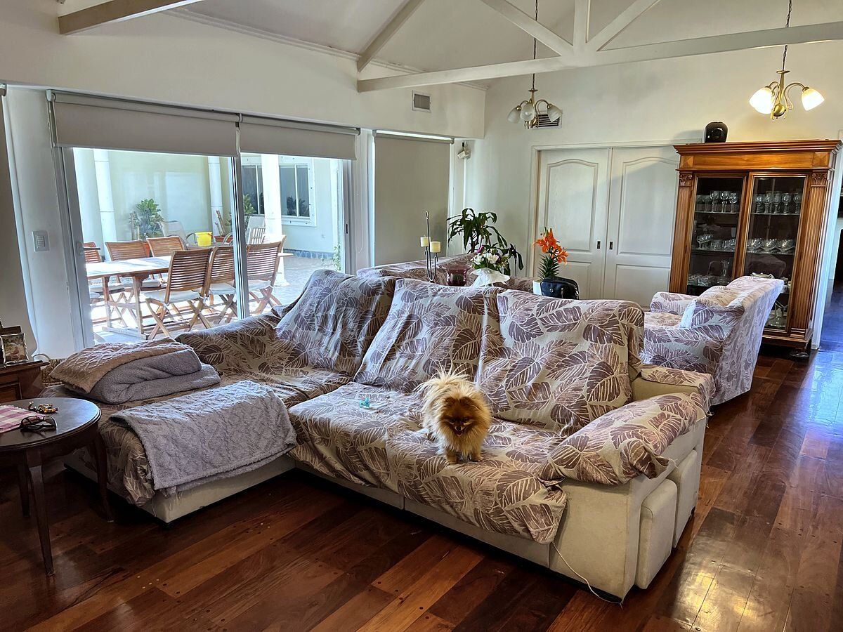 Casa en venta 6 dorm con pileta en Country Las Delicias, parque de 1.800 m² — foto 10