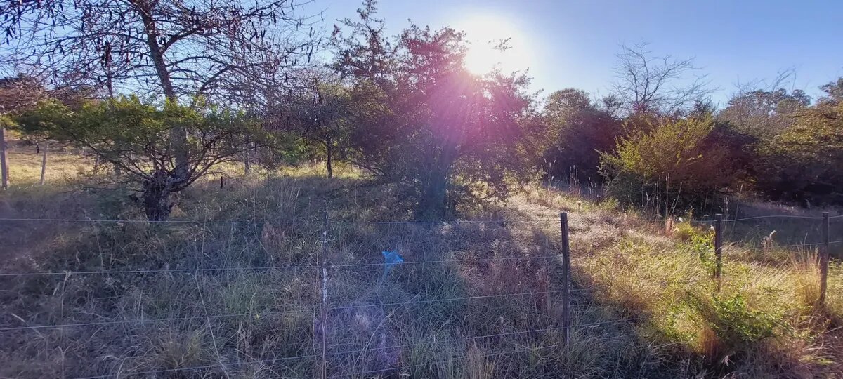 Lote en venta 625 m² con escritura en Capilla Vieja, Los Reartes — foto 3